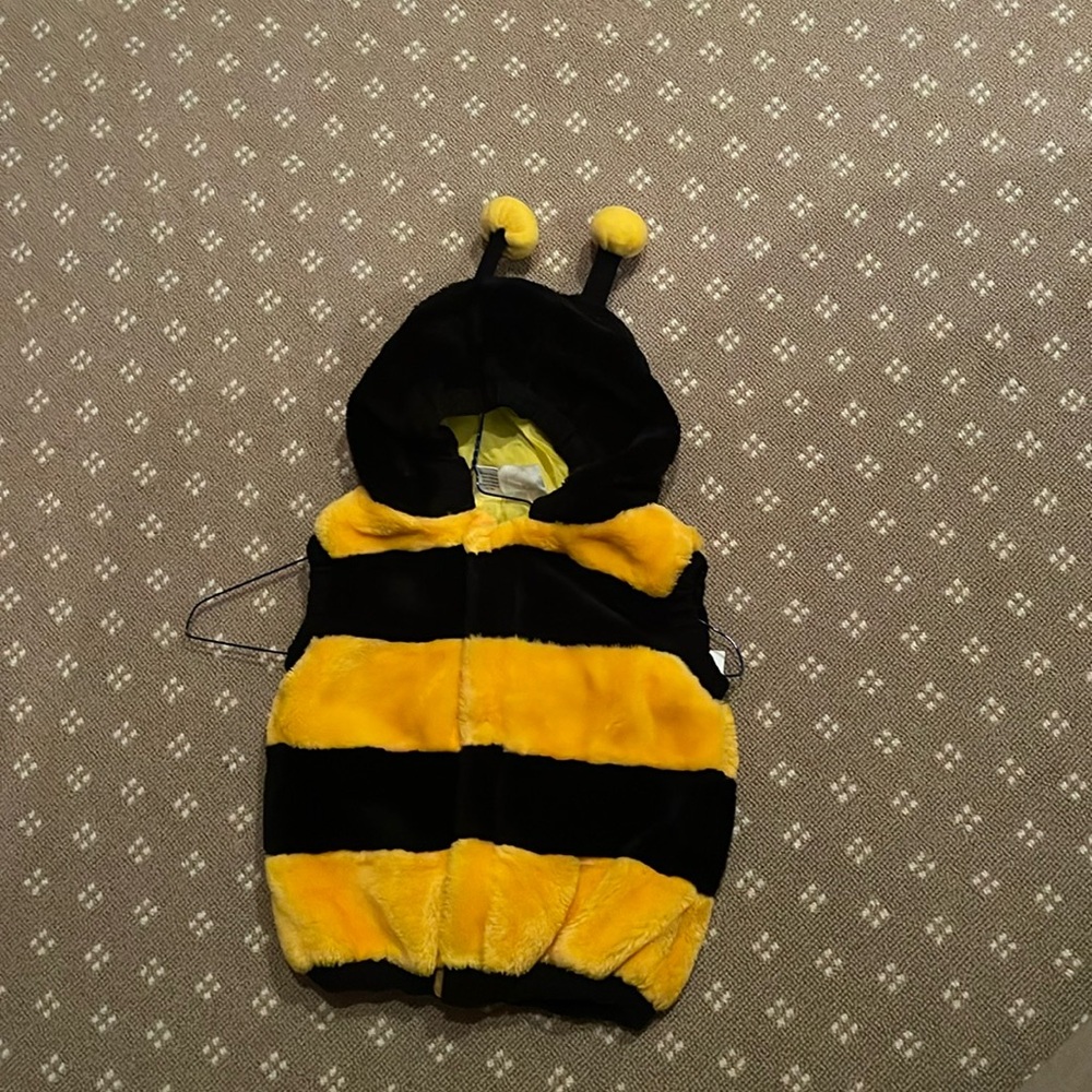 Bumble bee costume
